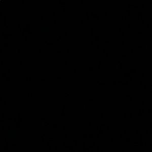 Meet your Posher, Logan